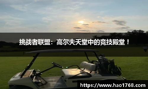 金沙9001cc
